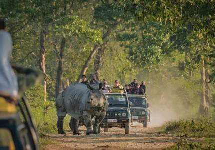 Kaziranga Safari with Meghalaya Explorer Tour