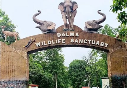 Jamshedpur Taxi Service