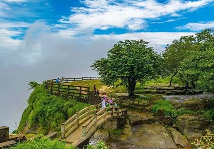 Kaziranga Safari with Meghalaya Explorer Tour