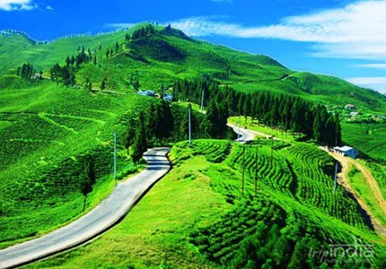 Himalayan Duo: Darjeeling & Sikkim