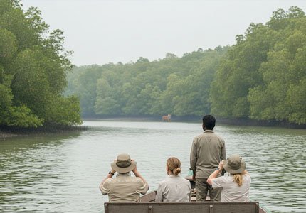 Sundarbans Taxi Service
