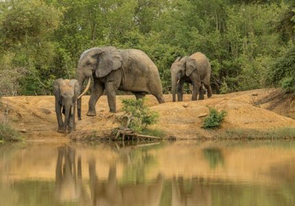 Explore Sundarbans Nature Tour