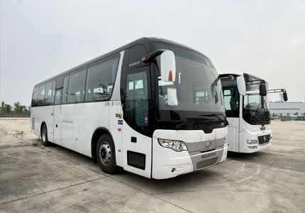Buses