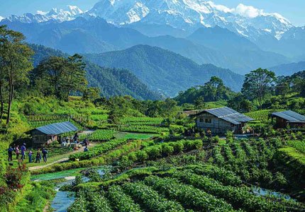 Himalayan Trio: Darjeeling Sikkim Bhutan Tour