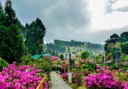 Himalayan Duo: Darjeeling & Sikkim