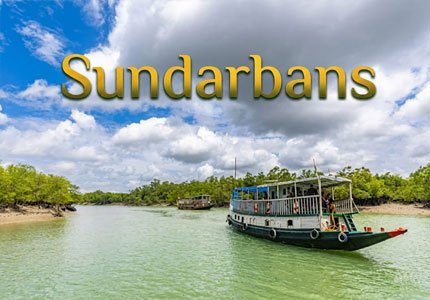 Sundarbans Taxi Service